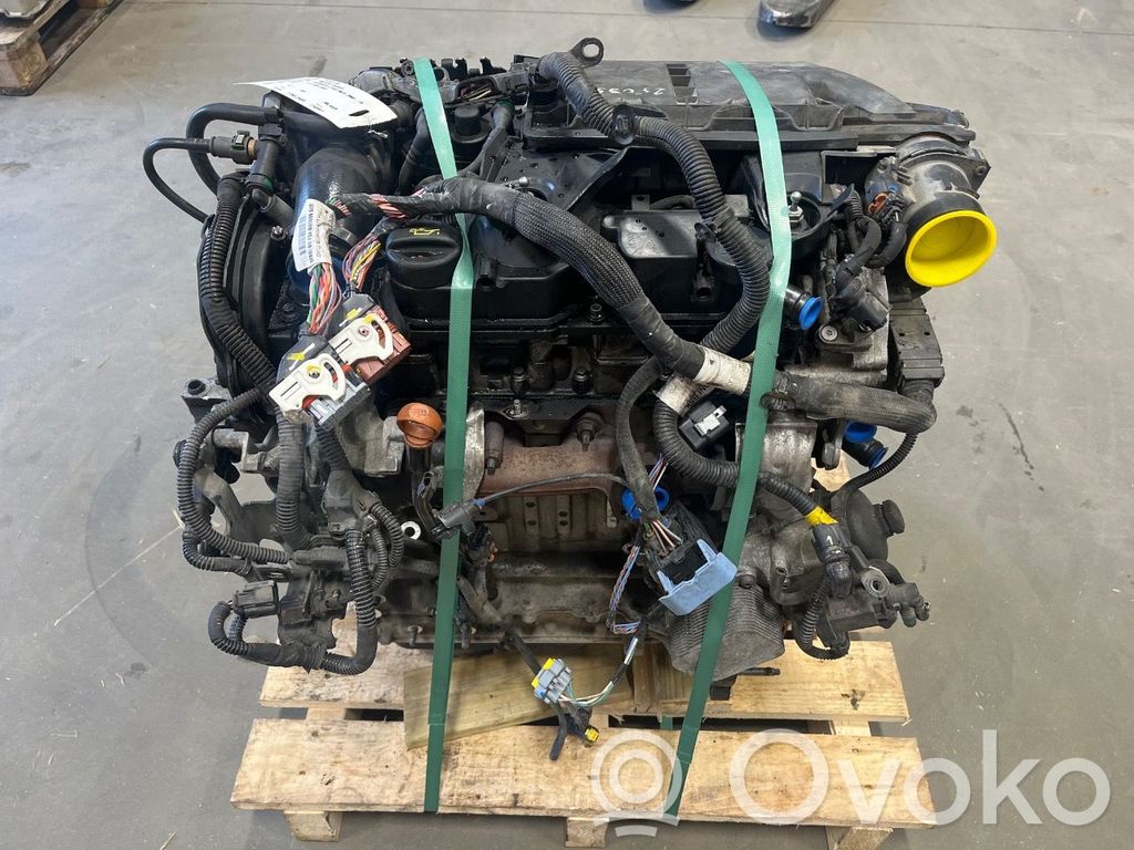 Motor   0135SW,0135SW