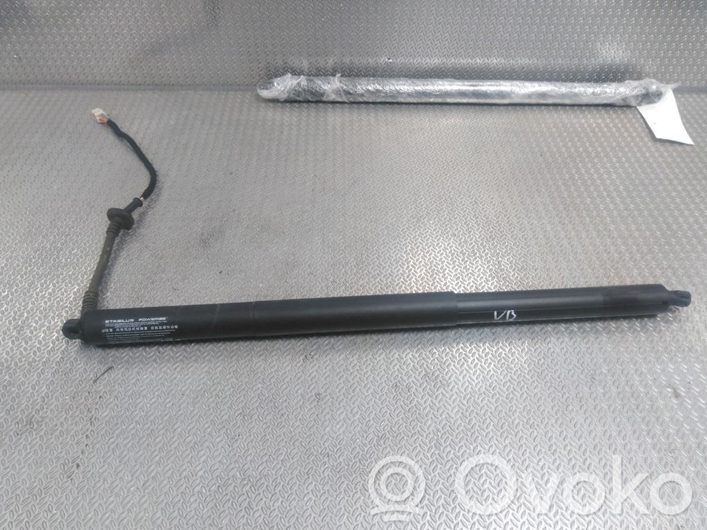 Vérin de capot arrière   81831CV100,81831CV100