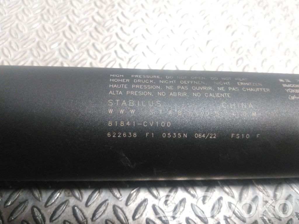 KIA EV6 Amortizor hayon 