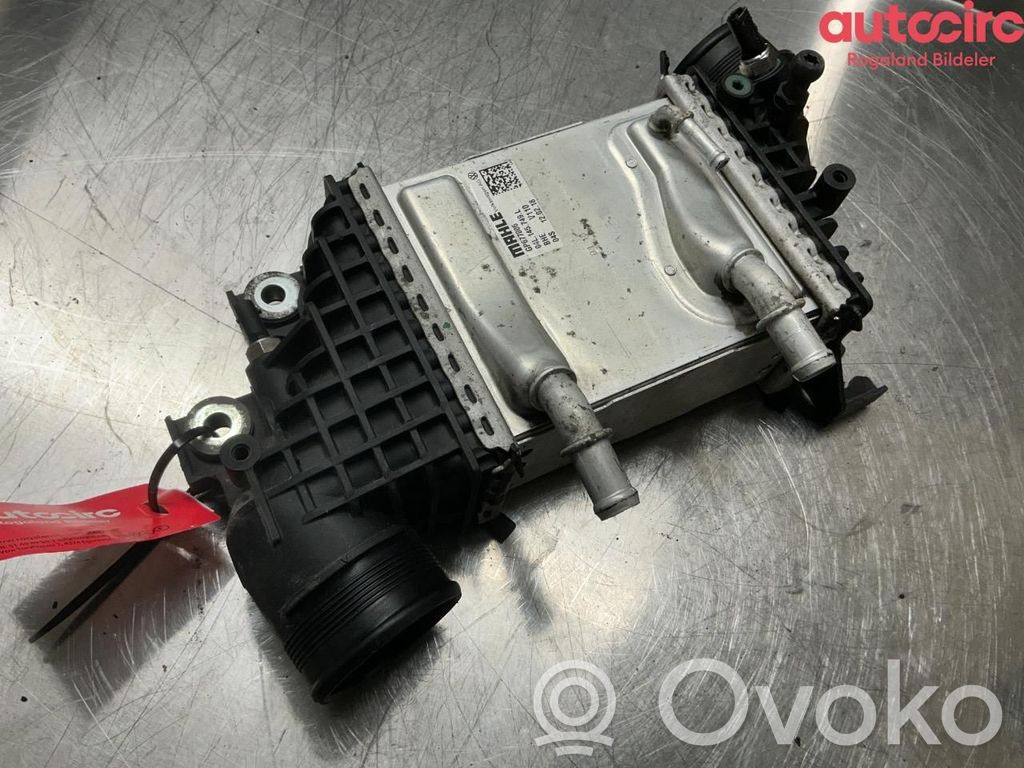 Volkswagen Transporter - Caravelle T6 Radiator intercooler 