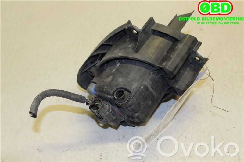 Toyota Avensis T270 Fendinebbia anteriore 