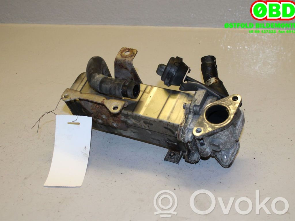Hyundai ix35 Valvola di raffreddamento EGR 