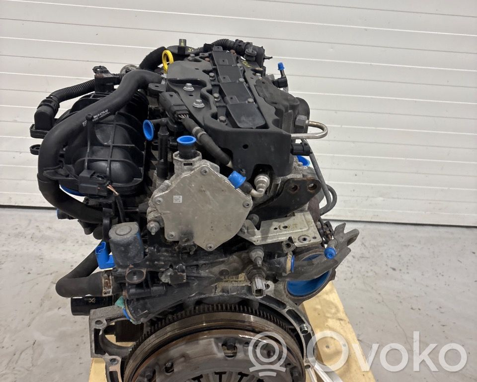 Ford Fiesta Motor 