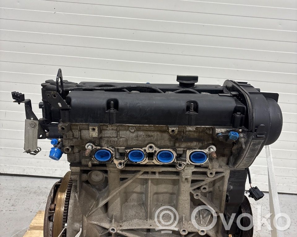Ford Fiesta Variklis 