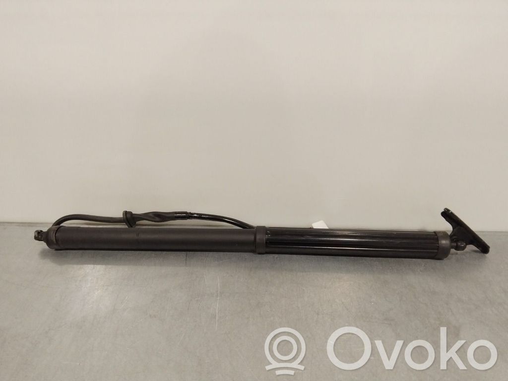 Toyota RAV 4 (XA50) Amortiguador/puntal del maletero/compartimento de carga 