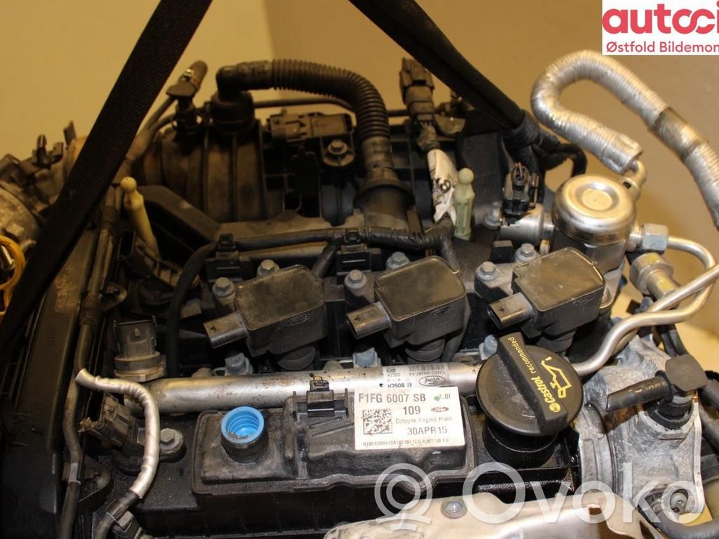 Ford C-MAX II Engine 