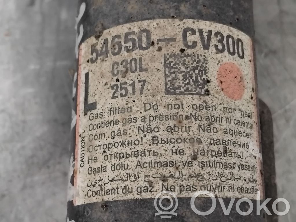KIA EV6 Ansamblu amortizor cu arc față