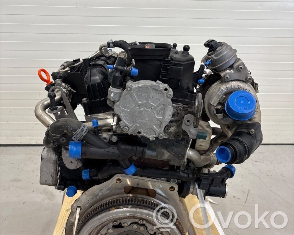 Volkswagen PASSAT B7 Variklis 
