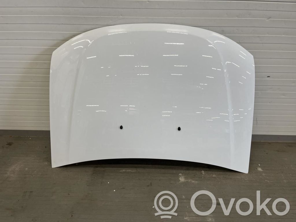 Konepelti   651006016R,651006016R