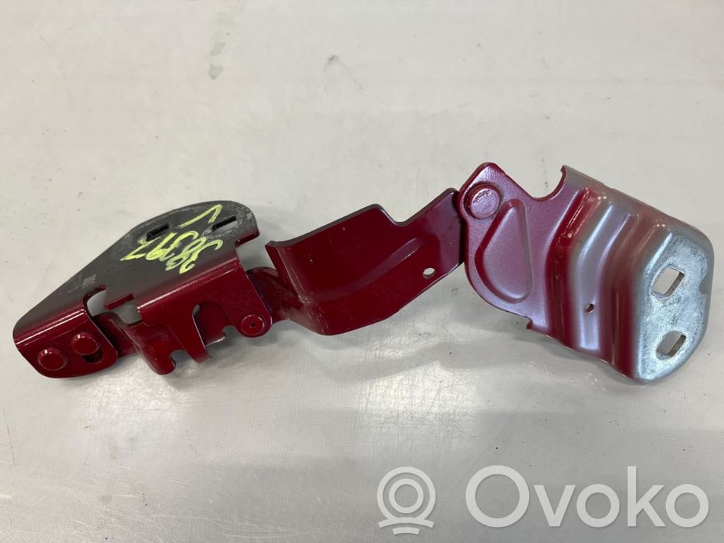 Tesla Model 3 Engine bonnet/hood hinges 