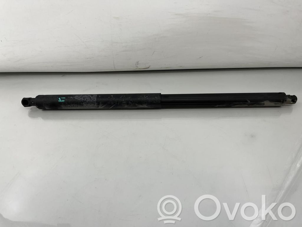 Ford Edge II Amortizatorius galinio dangčio 