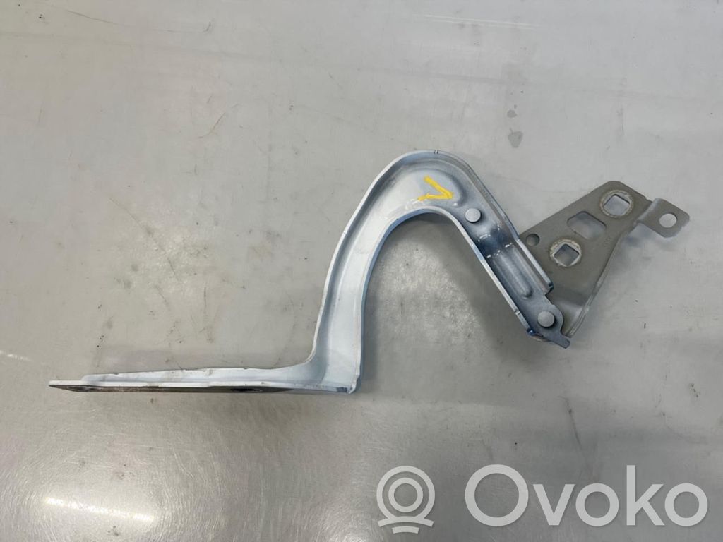 Tesla Model Y Engine bonnet/hood hinges 
