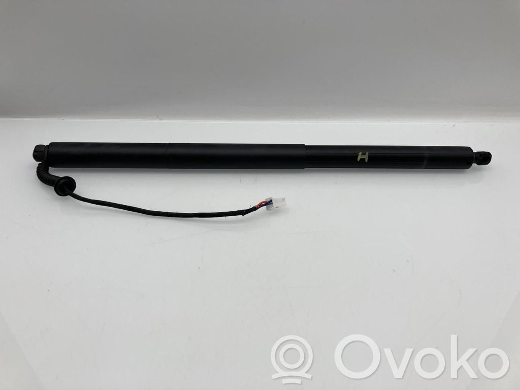 Tesla Model Y Juniper Tailgate/trunk strut/damper 