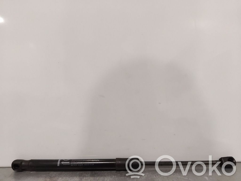 Hyundai Kona I Ammortizzatore portellone anteriore/cofano