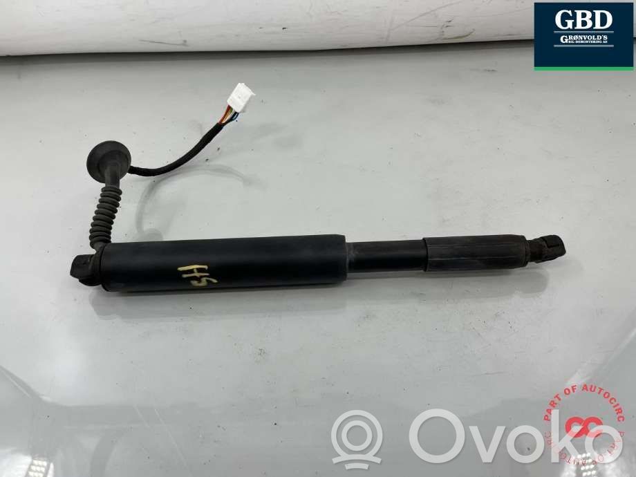 Tesla Model 3 Tailgate/trunk strut/damper 