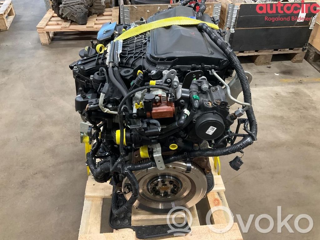 Engine   1869767,1838469,1838469,1838469,1869767,UFDB