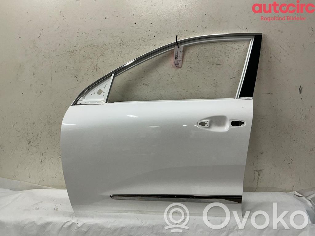 KIA Niro Tür vorne 