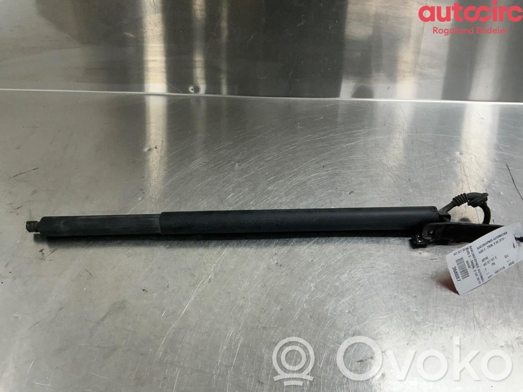 Audi e-tron Motor ridicare hayon/capotă portbagaj