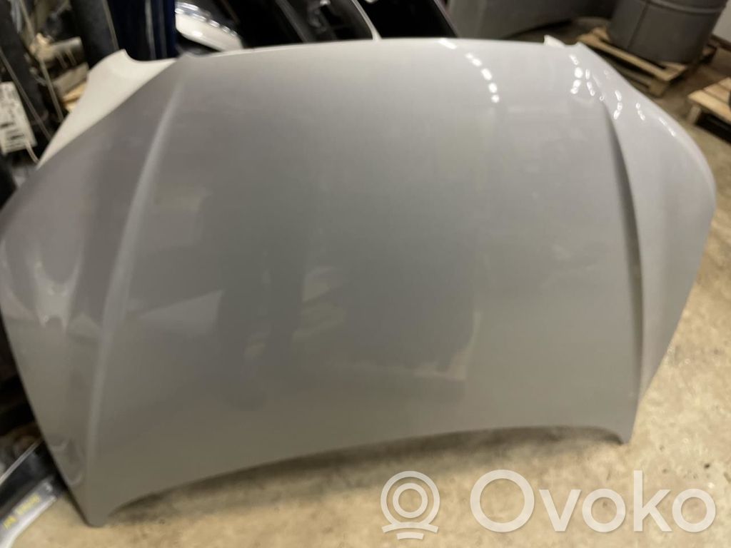 Motorhaube