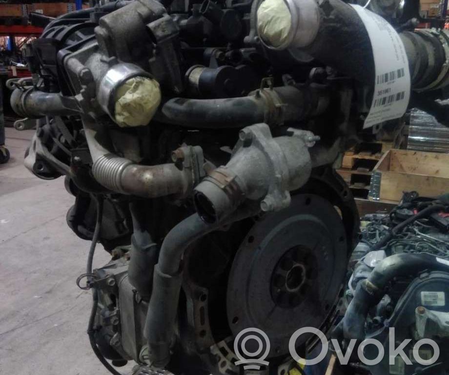 Motor   D4HB,R20AT,D4HB,R20AT