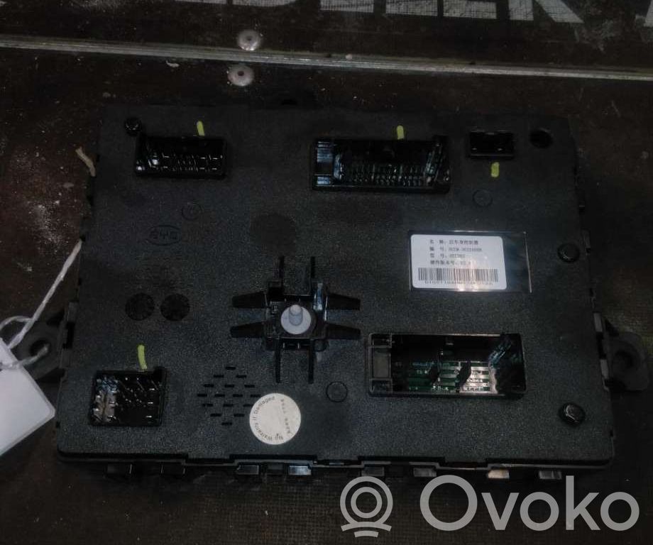 BYD Han Otras unidades de control/módulos 