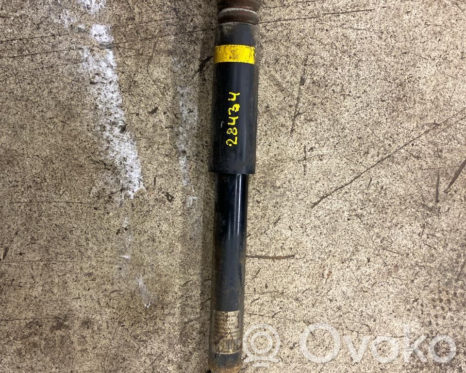 Audi RS3 8PA Amortizor spate 