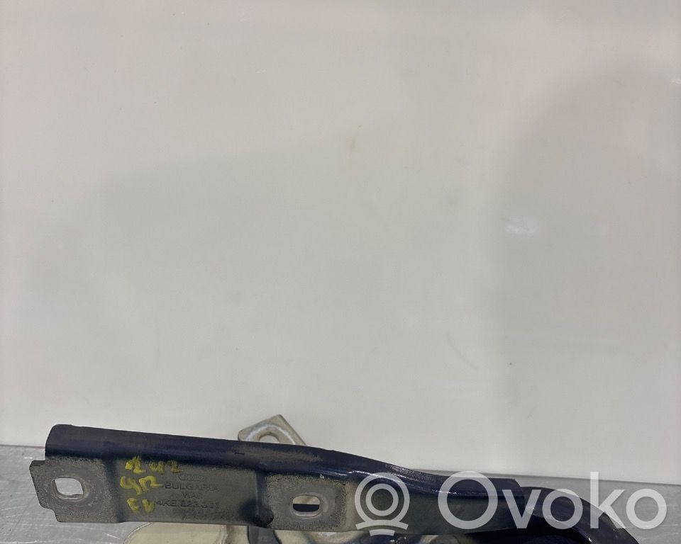 Audi e-tron Engine bonnet/hood hinges 