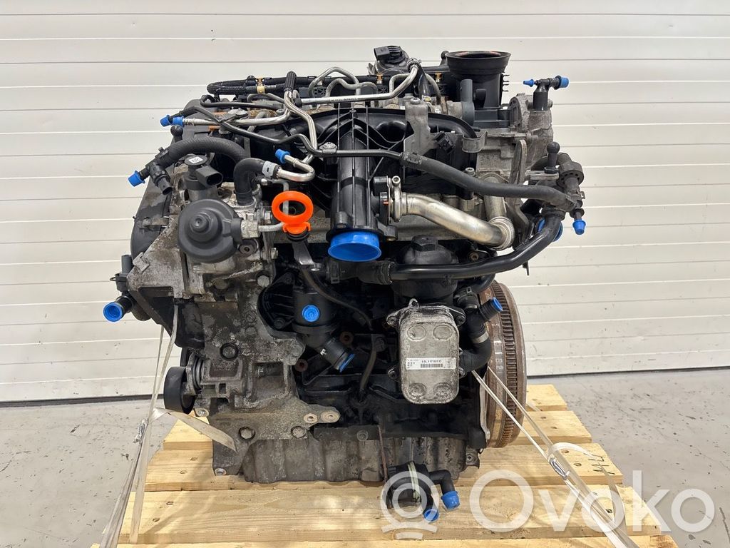 Volkswagen PASSAT B7 Variklis 