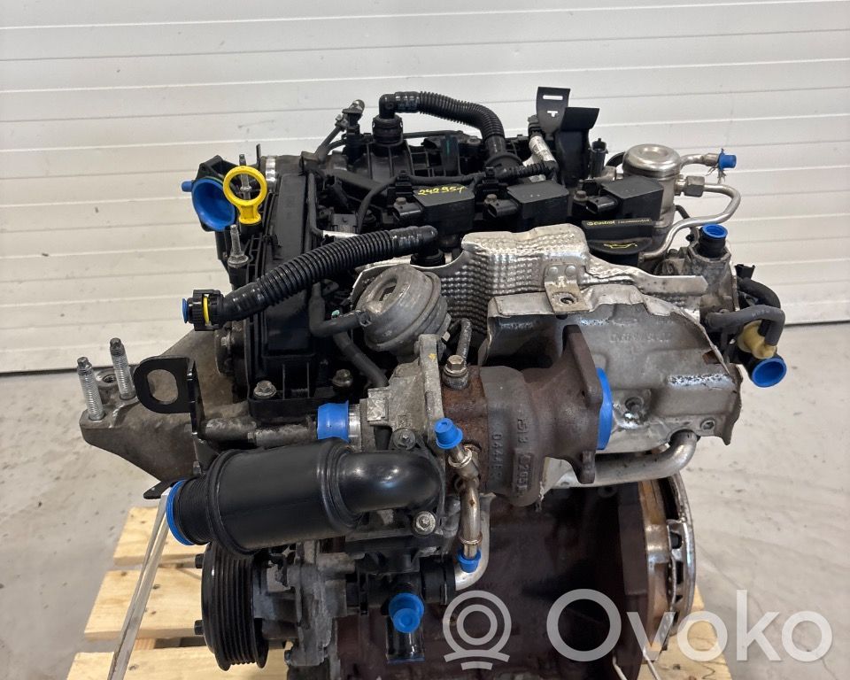 Ford Fiesta Variklis 