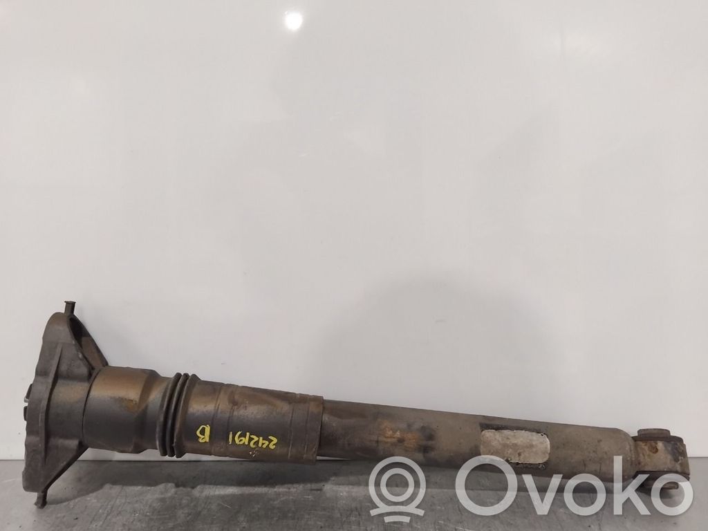 Stoßdämpfer hinten   9842995480,9842995480