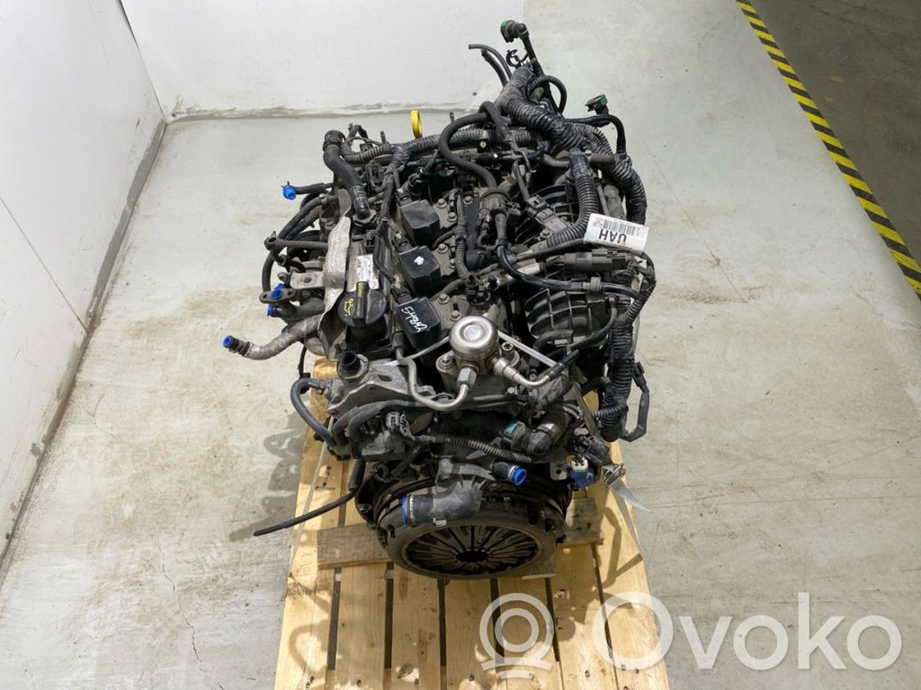 Engine   1897601,2421452,1857849,1897601,2421452,F1FG6006BA,SVCM5G6006BA
