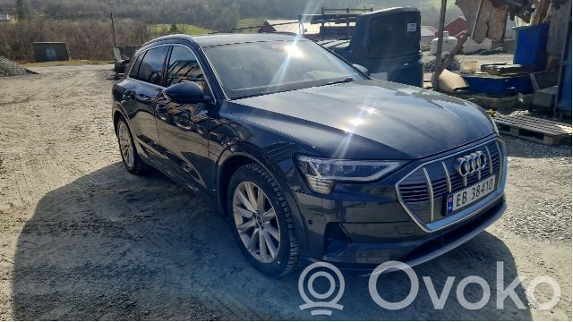 Audi e-tron Elektromobilio variklis 