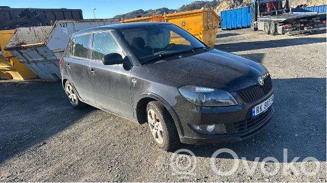 Skoda Fabia Mk2 (5J) Silnik 