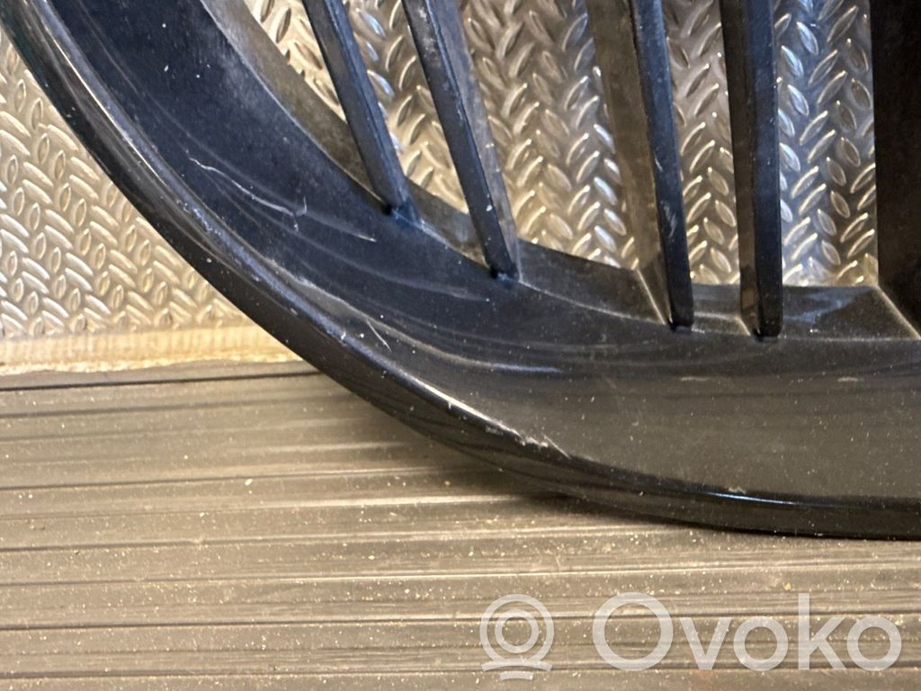 Front grill   51137027062,51137027062