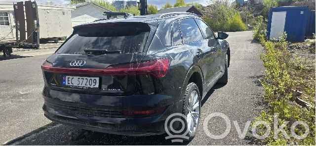 Audi e-tron Elektromobilio variklis 
