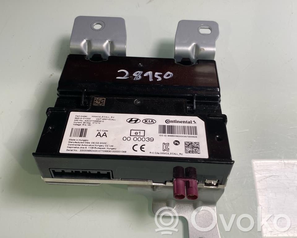 KIA EV6 Other control units/modules 