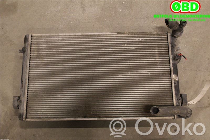 Seat Toledo II (1M) Radiator lichid răcire 