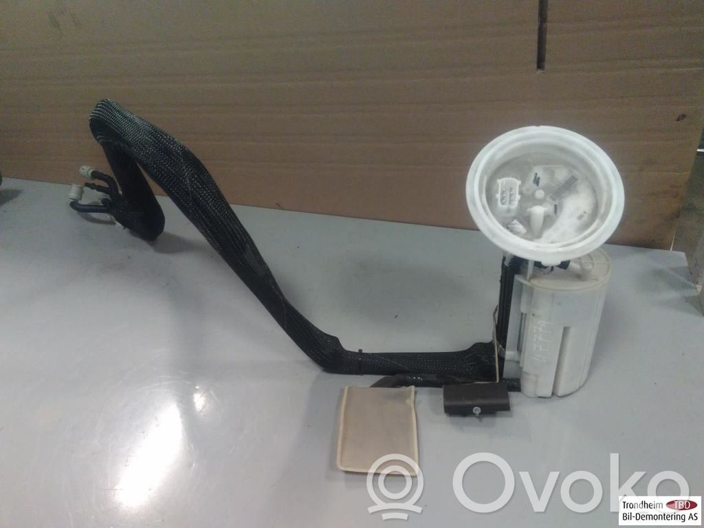 BMW M5 Polttoainesäiliön pumppu 