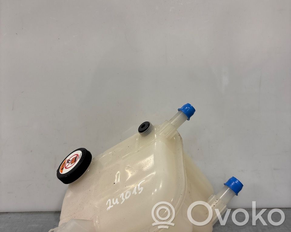 Toyota Corolla E210 E21 Vas expansiune combustibil 