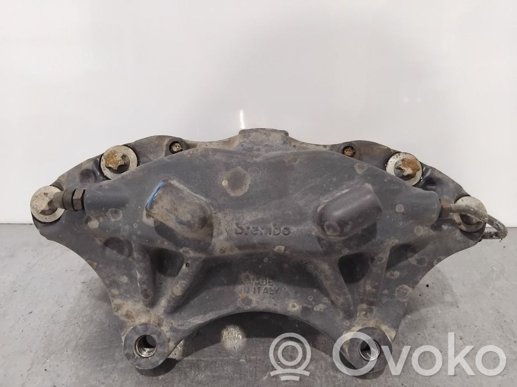 Bremssattel vorne   100316100D,100316100D