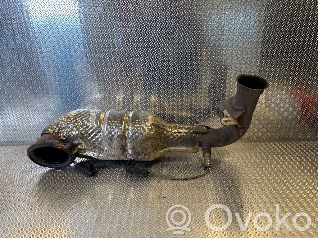 Citroen Berlingo Filtru de particule catalizator/FAP/DPF 