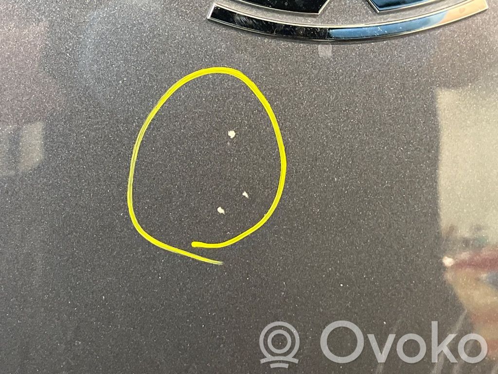Tesla Model 3 Capó/tapa del motor 