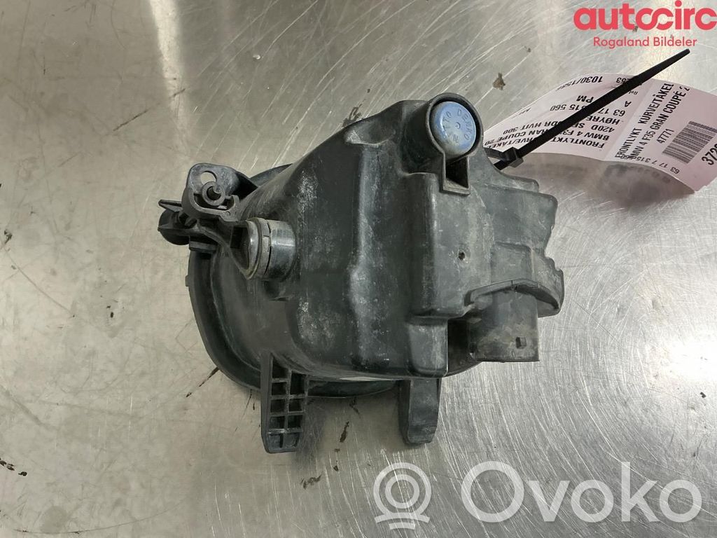 BMW 4 F32 F33 Etusumuvalo 