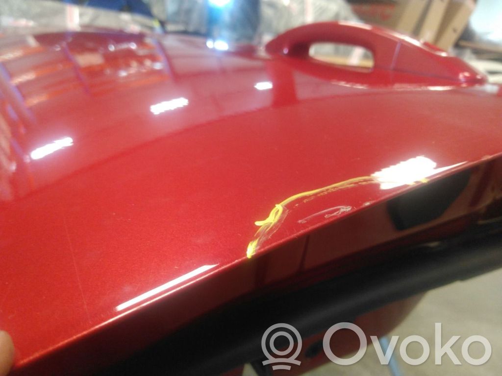 Ford Focus Front door 