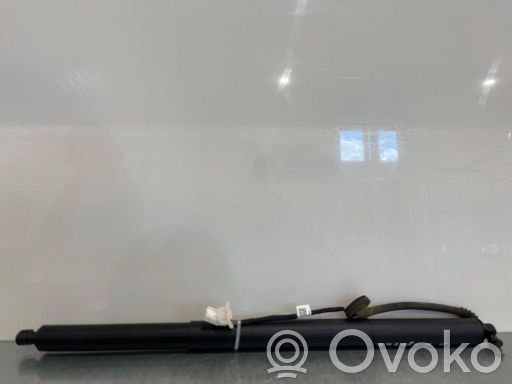 Tesla Model Y Ammortizzatore portellone posteriore/bagagliaio 
