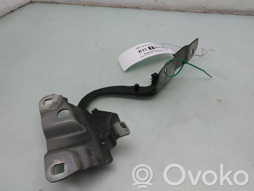 Renault Zoe Balamale capotă 