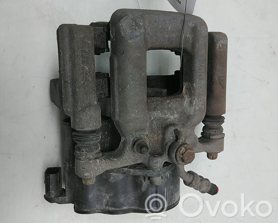 Takajarrusatula   772417,AE777007,AE777007,772417,AE777007