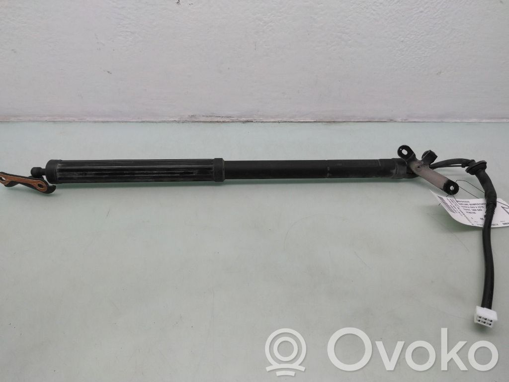 Toyota RAV 4 (XA50) Amortizor hayon 