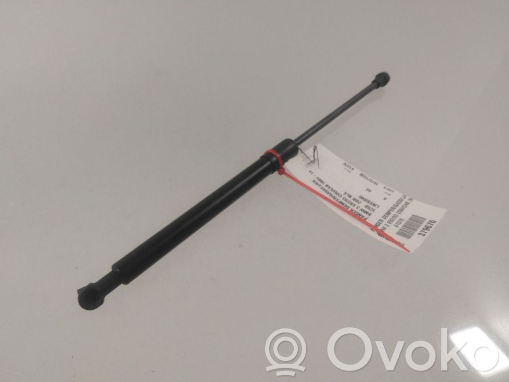 BMW 3 E90 E91 Ammortizzatore portellone anteriore/cofano 
