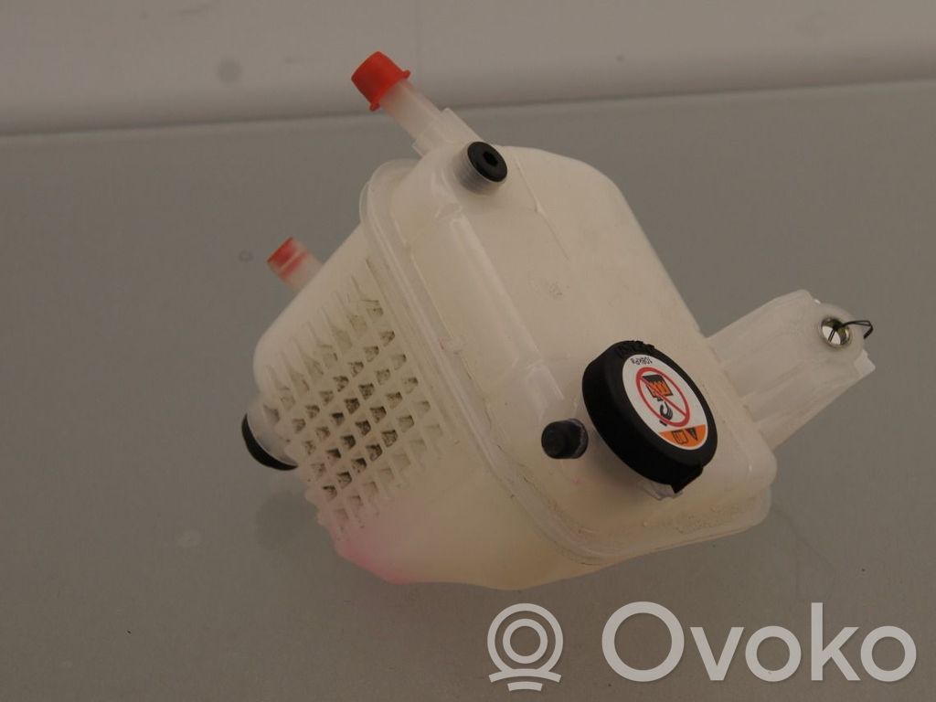 Vas expansiune combustibil   164A20T021,164A20T021